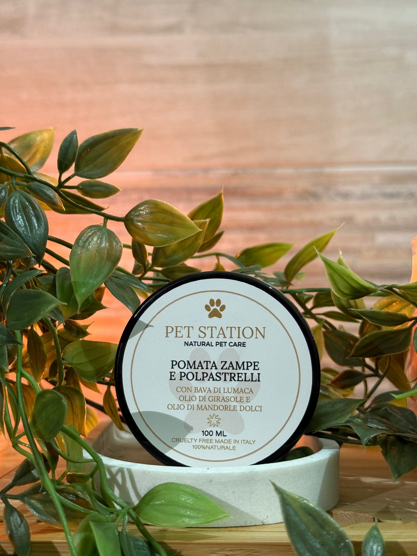 Pomata Zampe e Polpastrelli – Bava di Lumaca, Aloe & Burro di Cacao – 100 ml