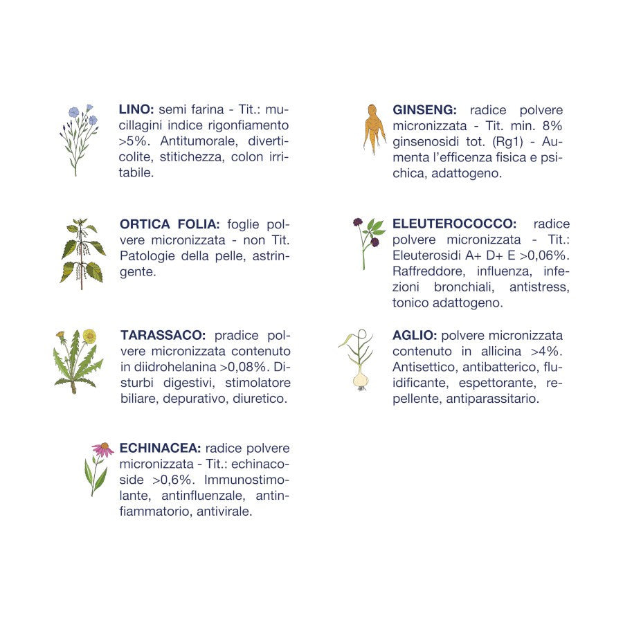 Vet Line Adulti Maiale 38% Monoproteina – Crocchette Naturali per Cani Adulti