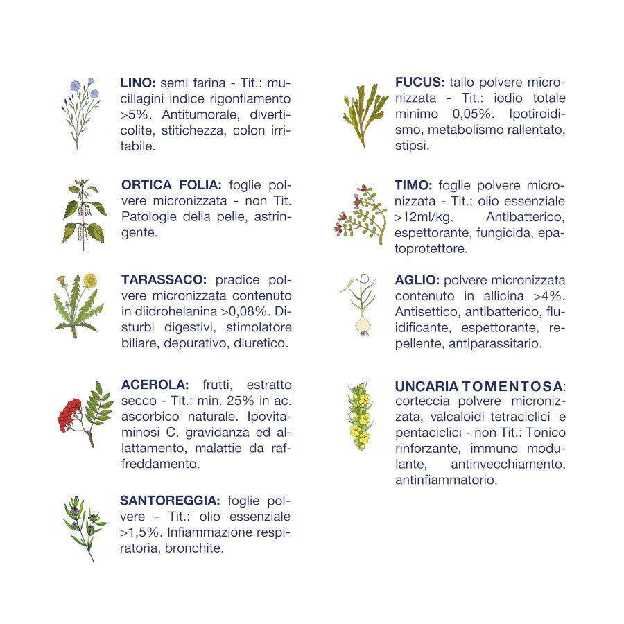 Vet Line Salute Bufalo 34% Monoproteina – Crocchette Naturali per Cani Adulti