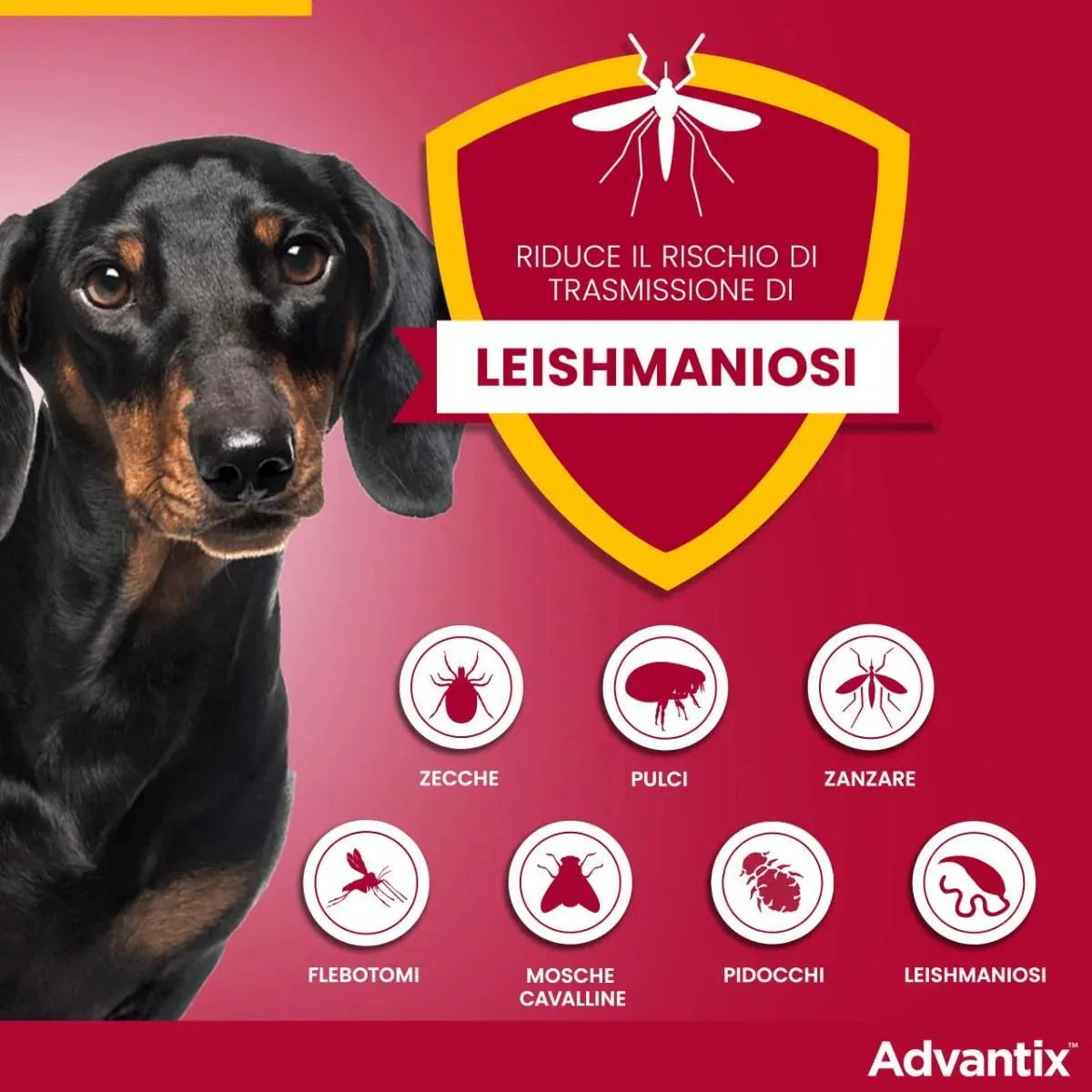 Advantix Spot-On per Cani 10-25 kg – 4 Pipette | Antiparassitario Completo