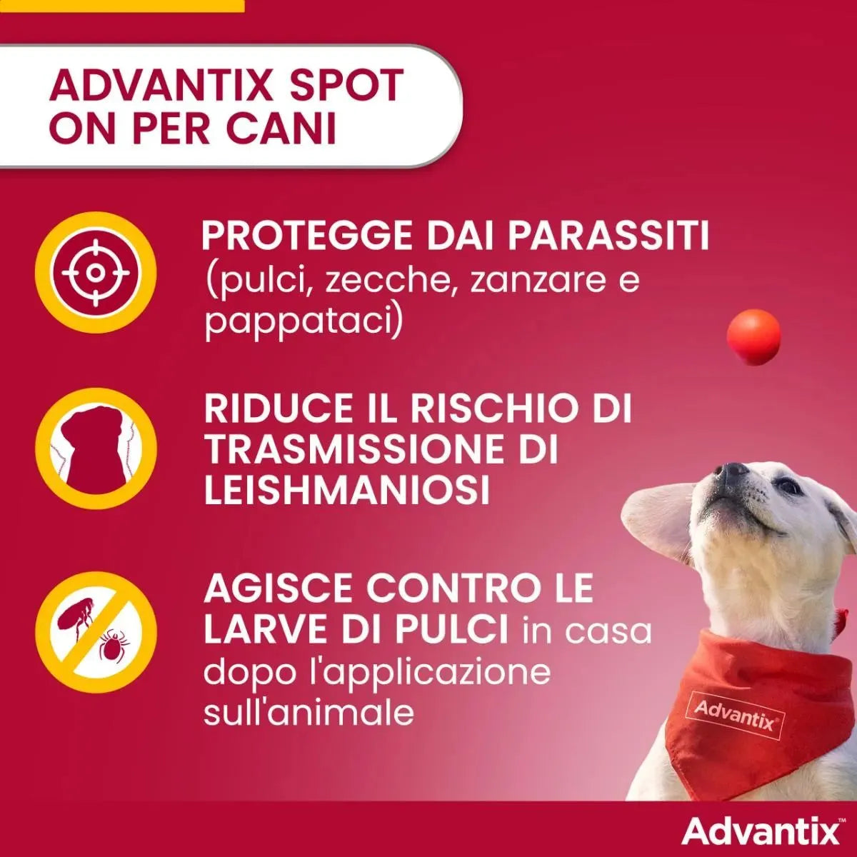Advantix Spot-On per Cani 25-40 kg – 4 Pipette | Antiparassitario Completo