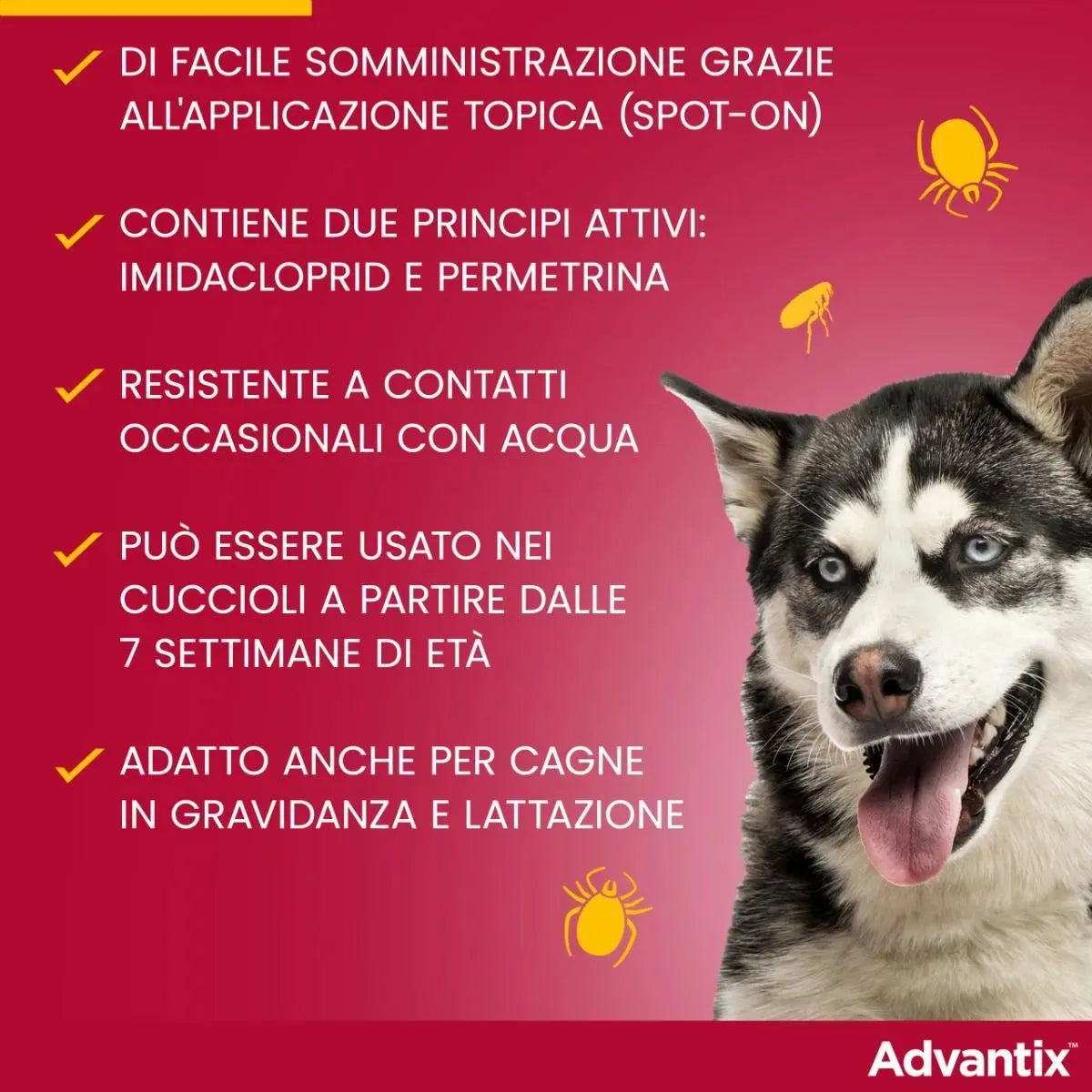 Advantix Spot-On per Cani 4-10 kg – 4 Pipette | Antiparassitario Completo