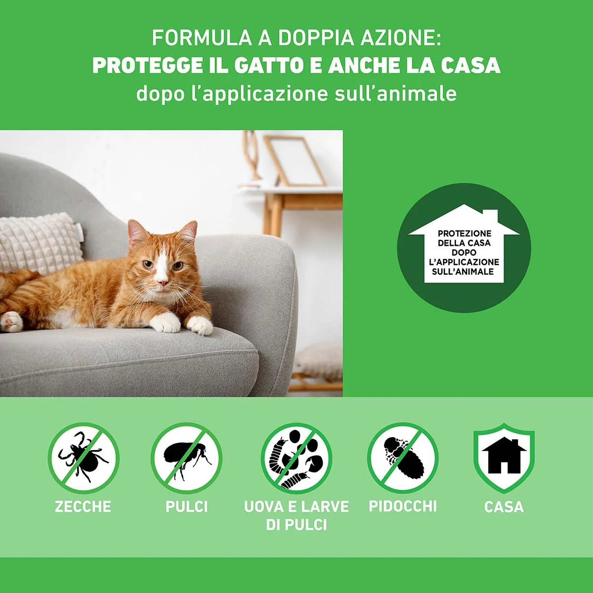 Frontline Combo Spot-On per Gatti e Furetti – 6 Pipette da 0,5 ml