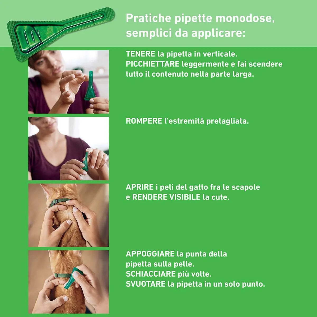 Frontline Combo Spot-On per Gatti e Furetti – 6 Pipette da 0,5 ml