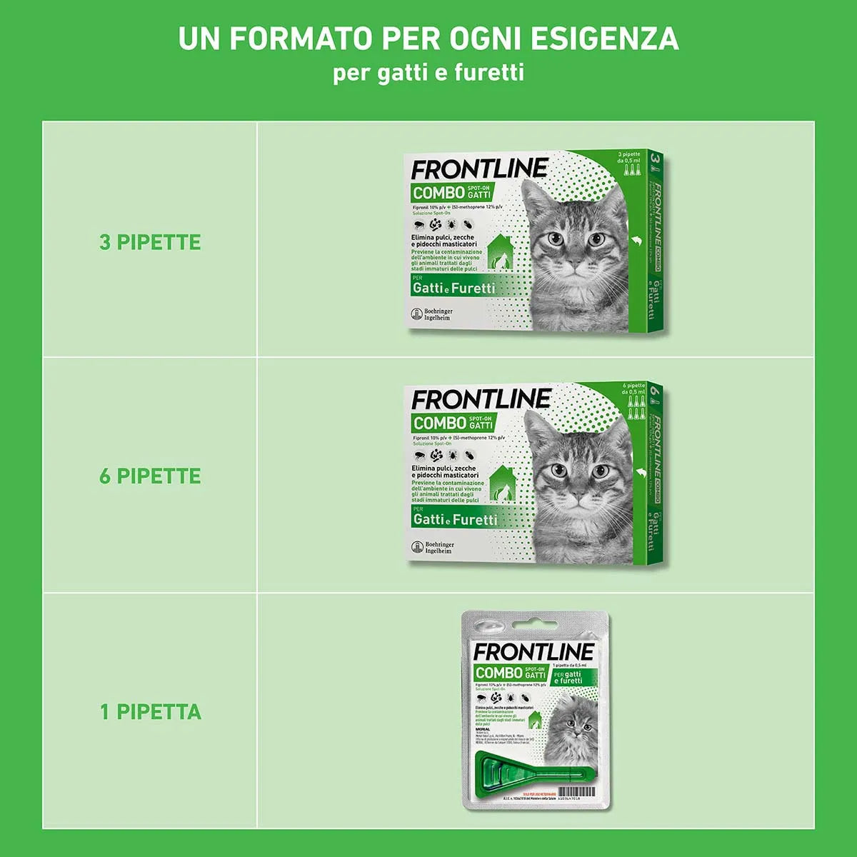 Frontline Combo Spot-On per Gatti e Furetti – 6 Pipette da 0,5 ml