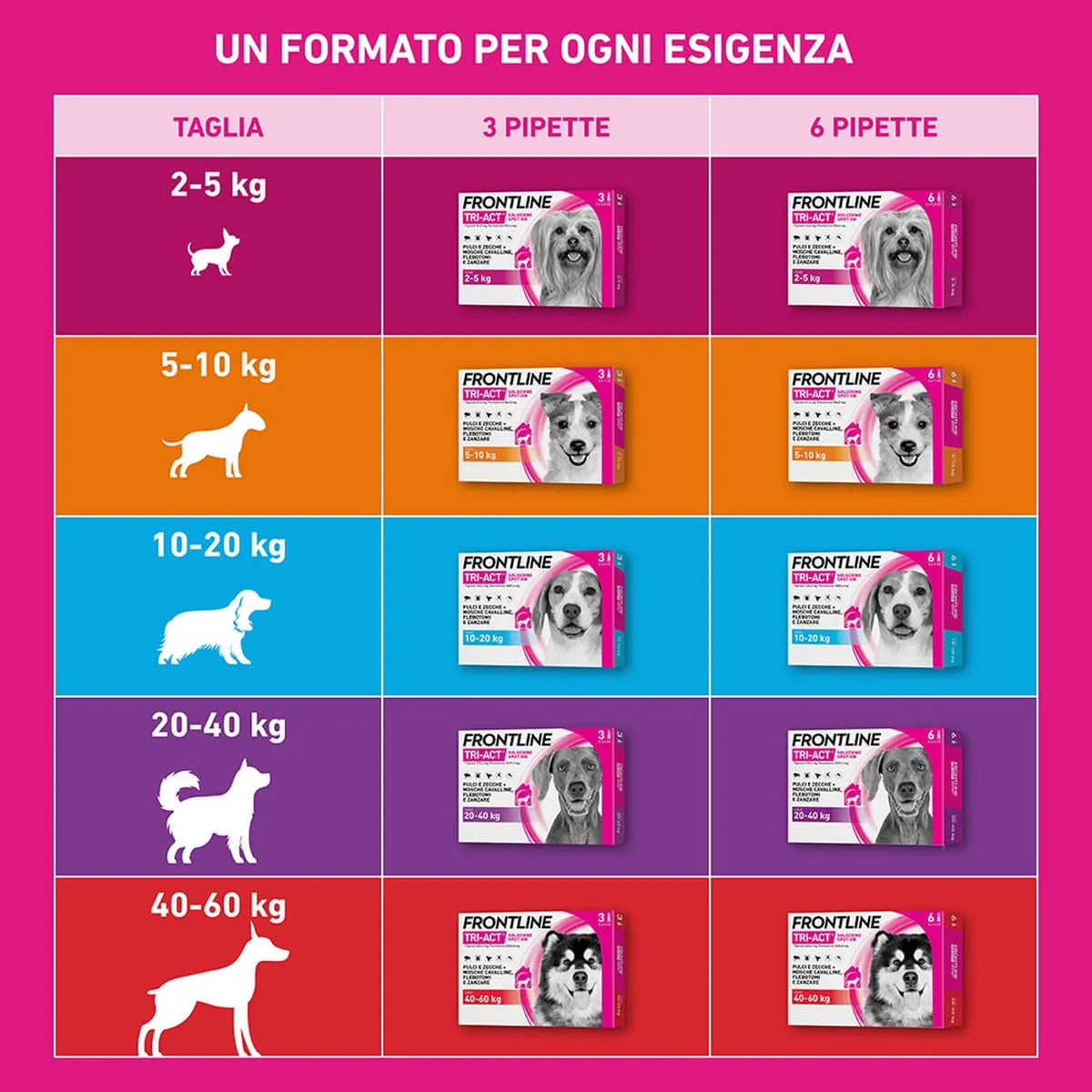 Frontline Tri-Act Spot-On per Cani 10-20 kg – 6 Pipette da 2 ml