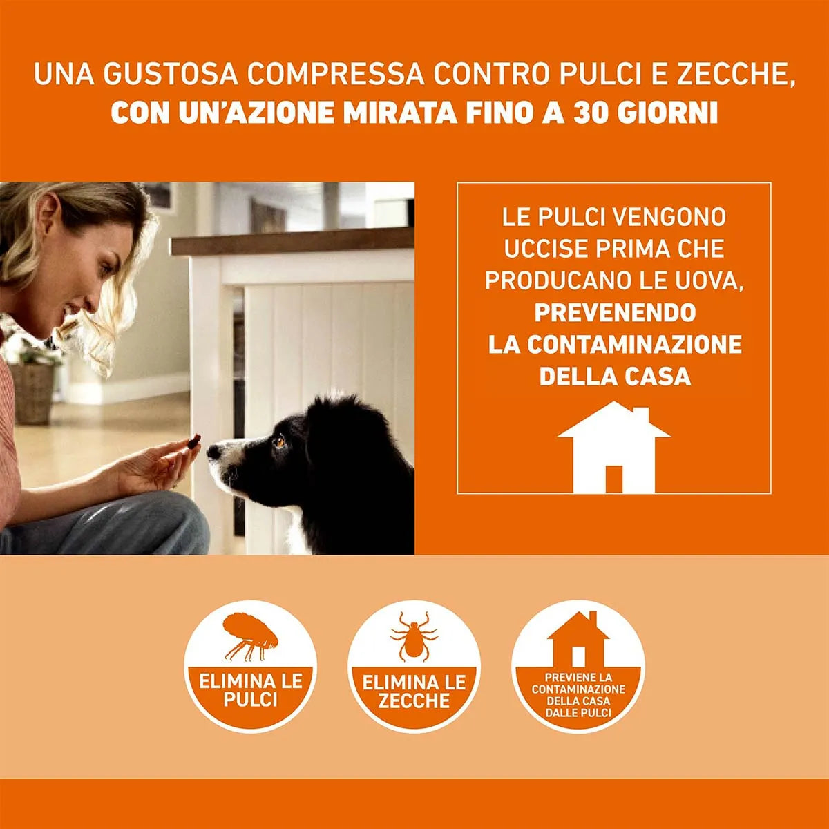 Frontpro 68 mg Compresse Masticabili per Cani 10-25 kg – 3 Compresse | Antipulci e Antizecche
