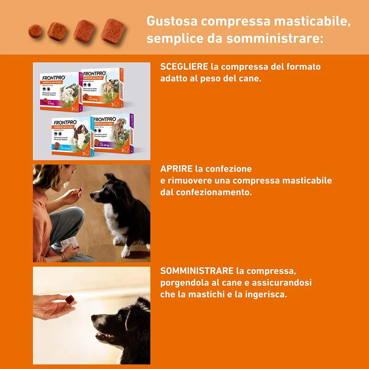 Frontpro 136 mg Compresse Masticabili per Cani 25-50 kg – 3 Compresse | Antipulci e Antizecche