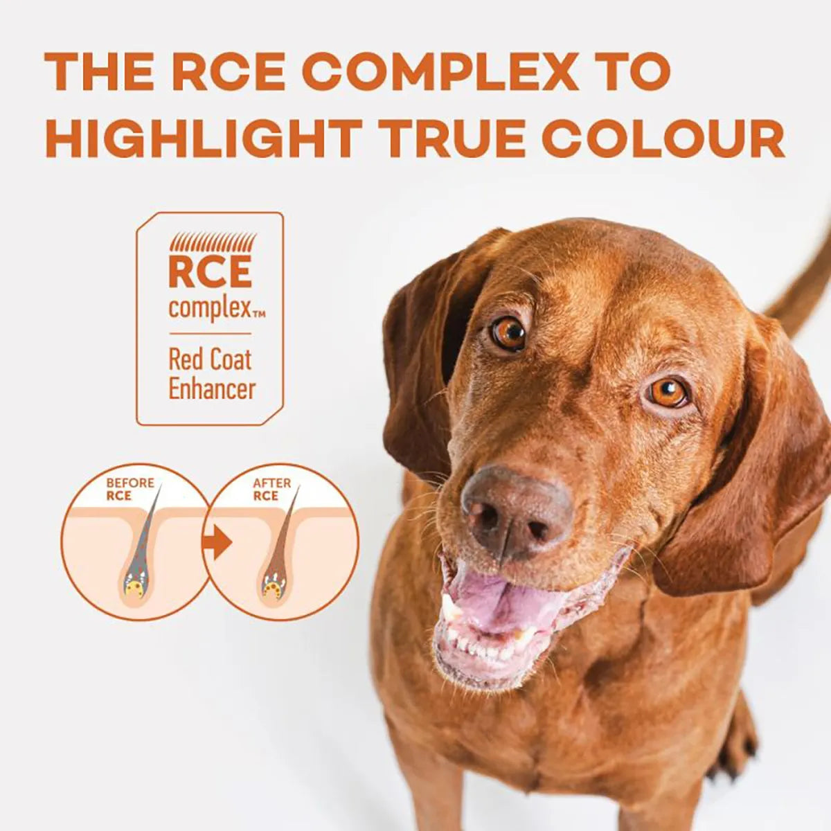 Nature’s Protection Superior Care Red Coat Junior al Salmone – 1,5 kg