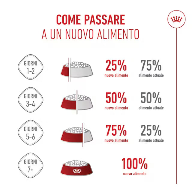 Royal Canin Chihuahua Adult – Oltre 8 mesi