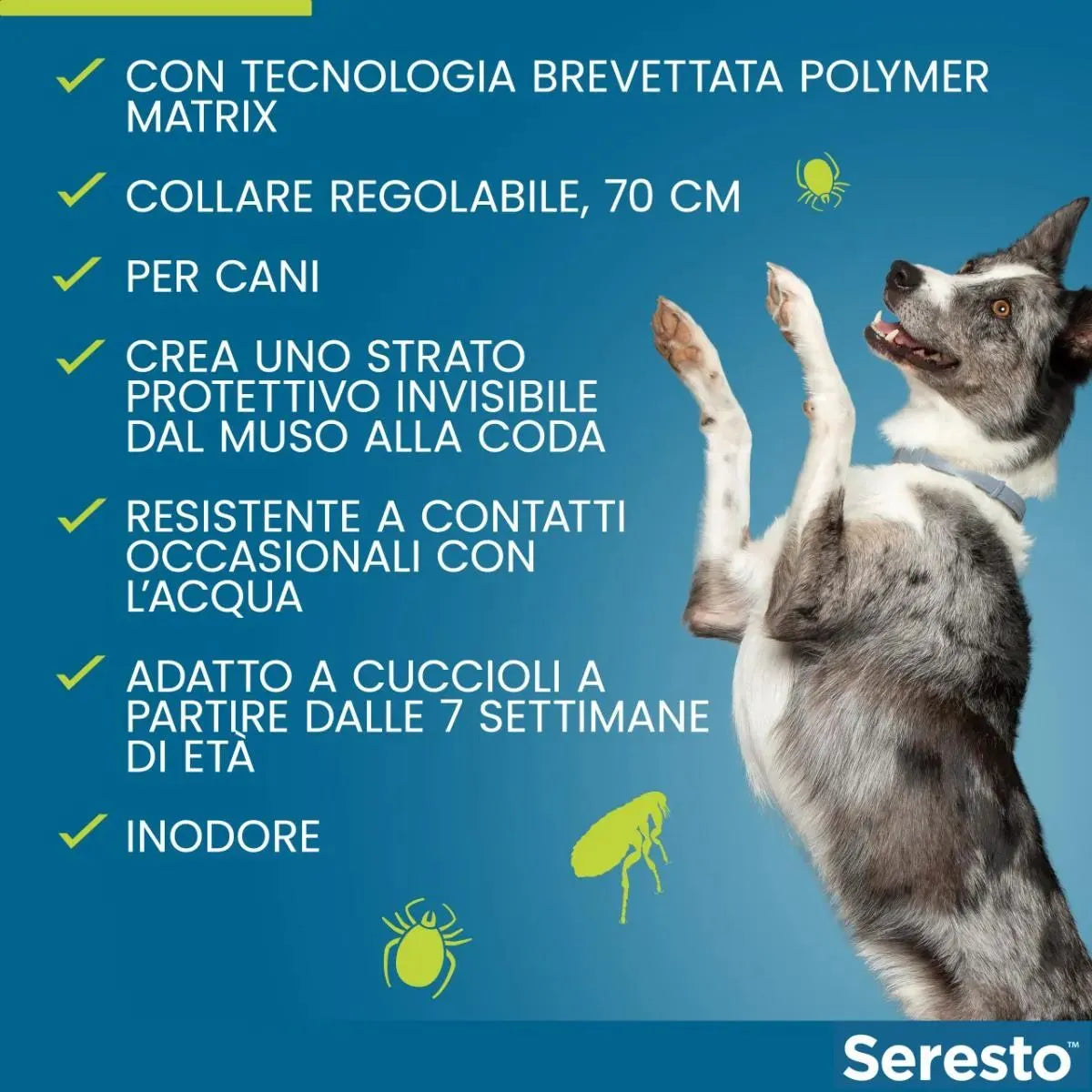 Seresto Collare Antiparassitario per Cani oltre 8 kg – Protezione 7-8 Mesi | Elanco
